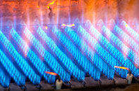 Redlands gas fired boilers